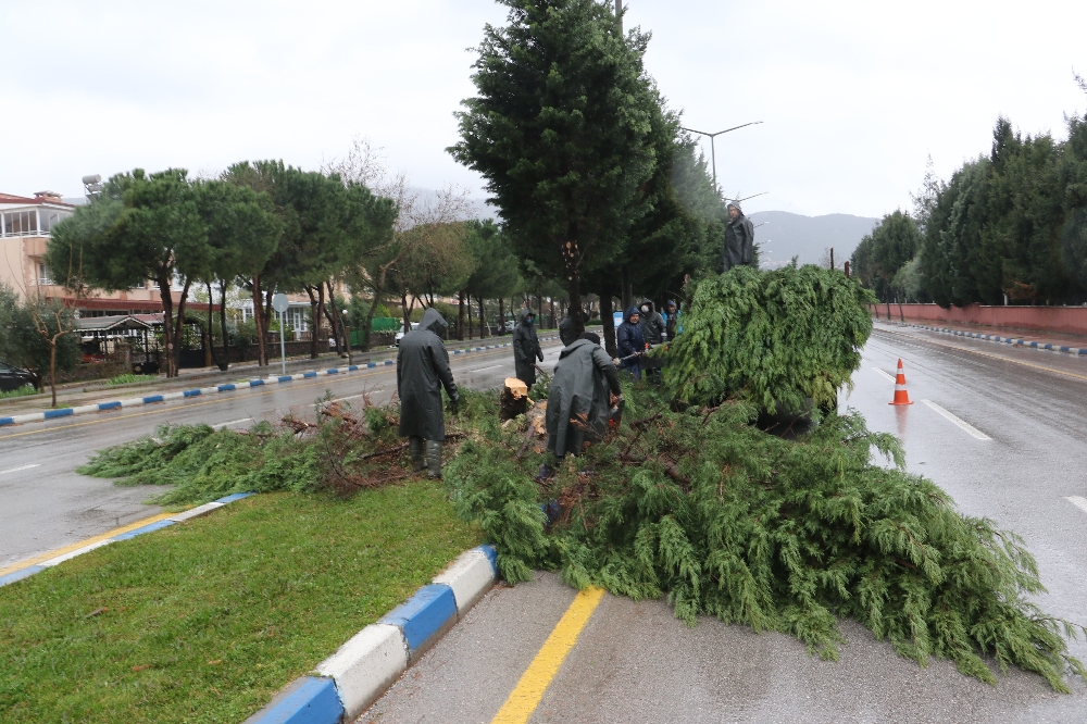 Manisa’daki fırtınanın hasarı gün ağarınca ortaya çıktı
