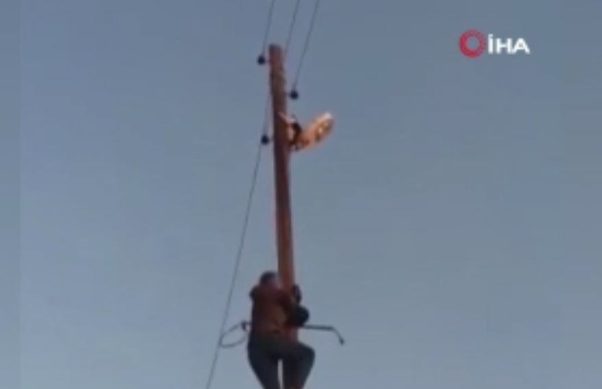 Mardin’de direkte mahsur kalan kedinin cesaretlendiği dakikalar yüzleri güldürdü