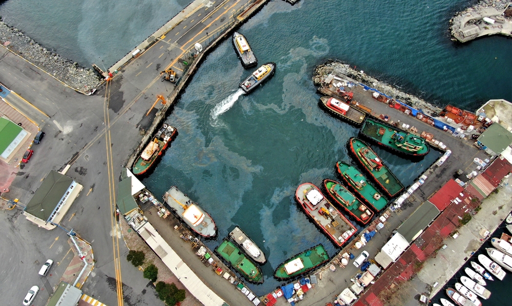 Marmara Denizinde Çevre Kirliliği