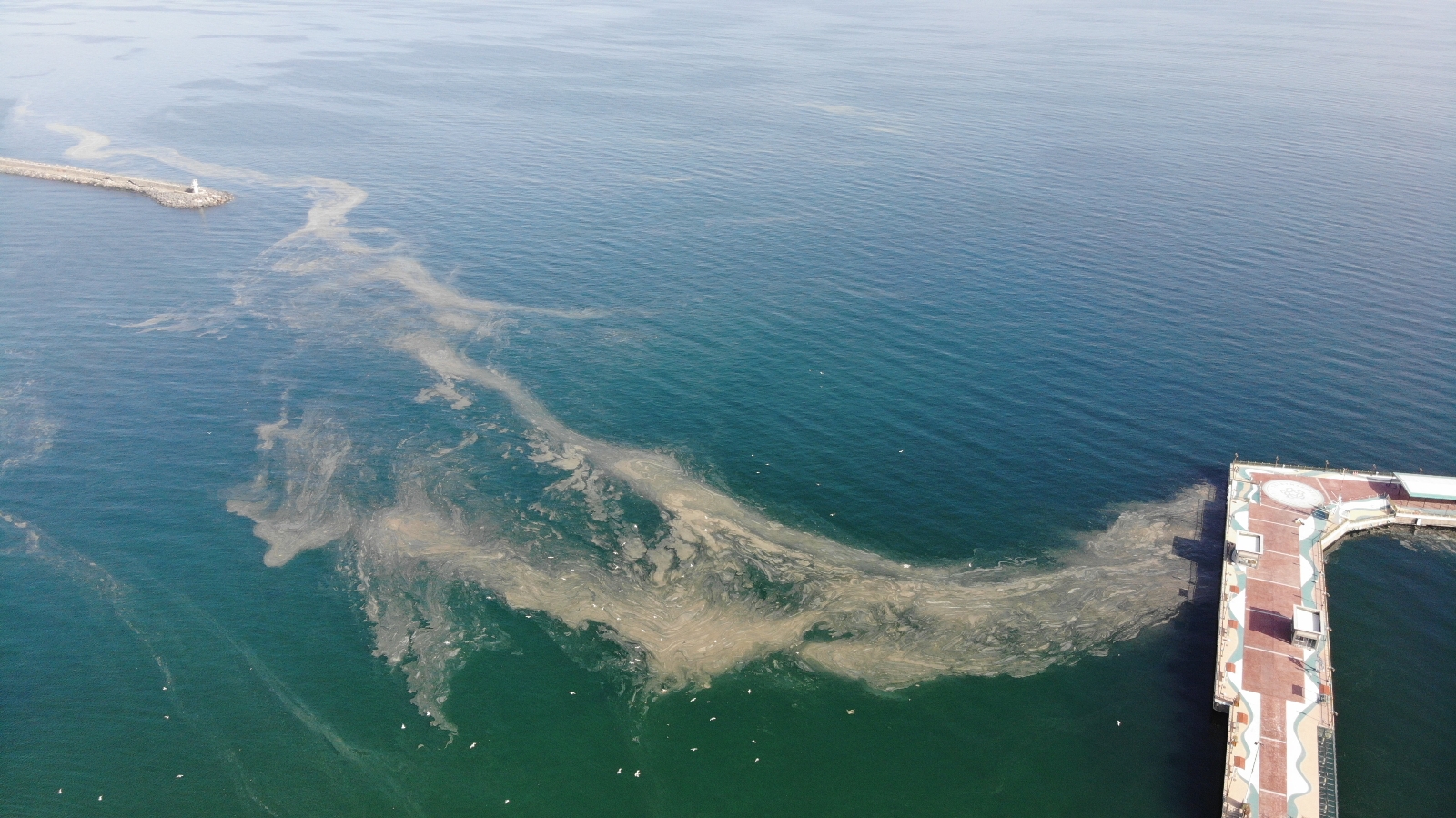 Marmara’da endişelendiren görüntü: Deniz salyası Marmara’yı turuncuya boyadı
