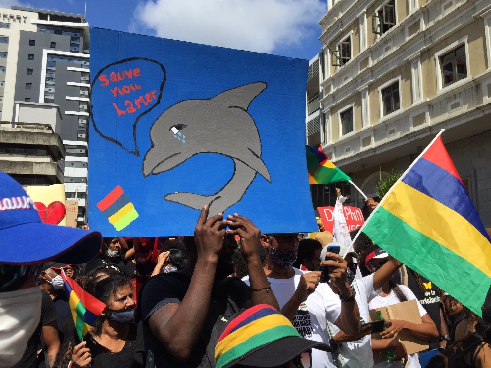 Mauritius’da binlerce kişi yunus ölümlerini protesto etti