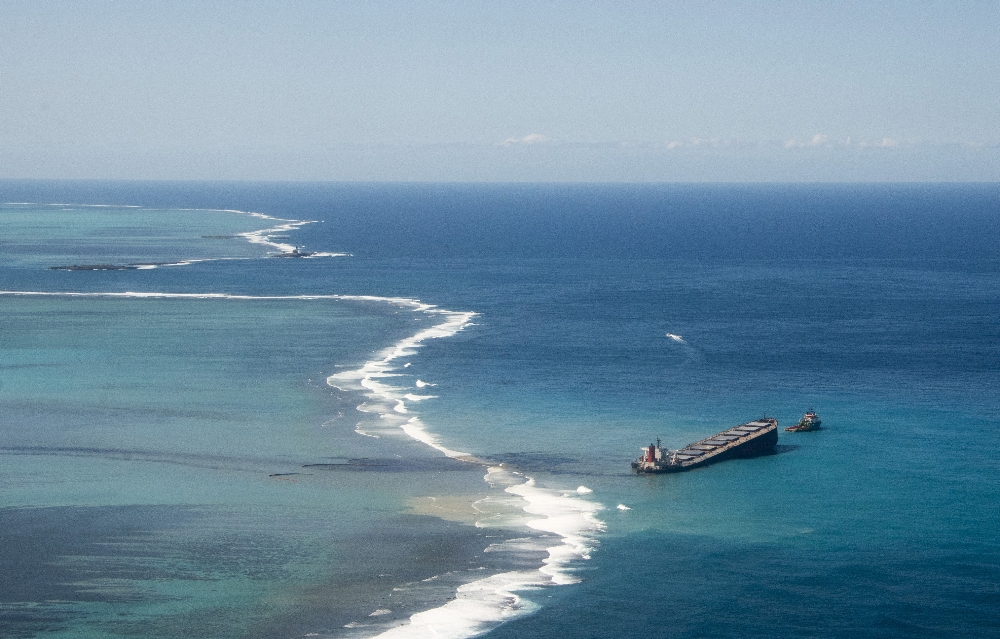 Mauritius’daki petrol felaketine karşı halk saçlarını bağışlıyor