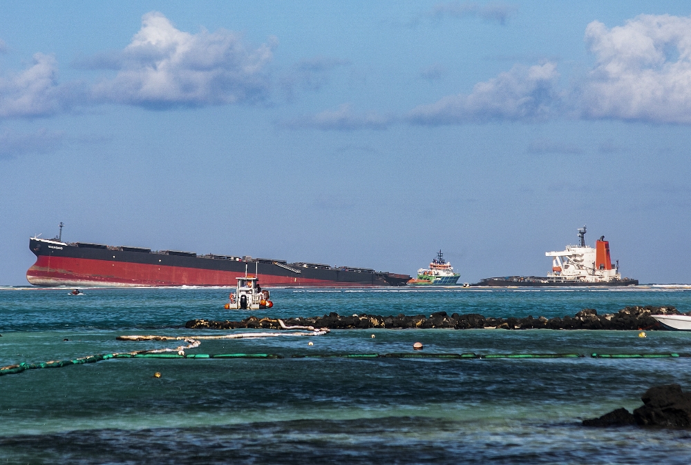 Mauritius’taki petrol faciası ekosistemi tehdit ediyor: 17 yunus ölü bulundu