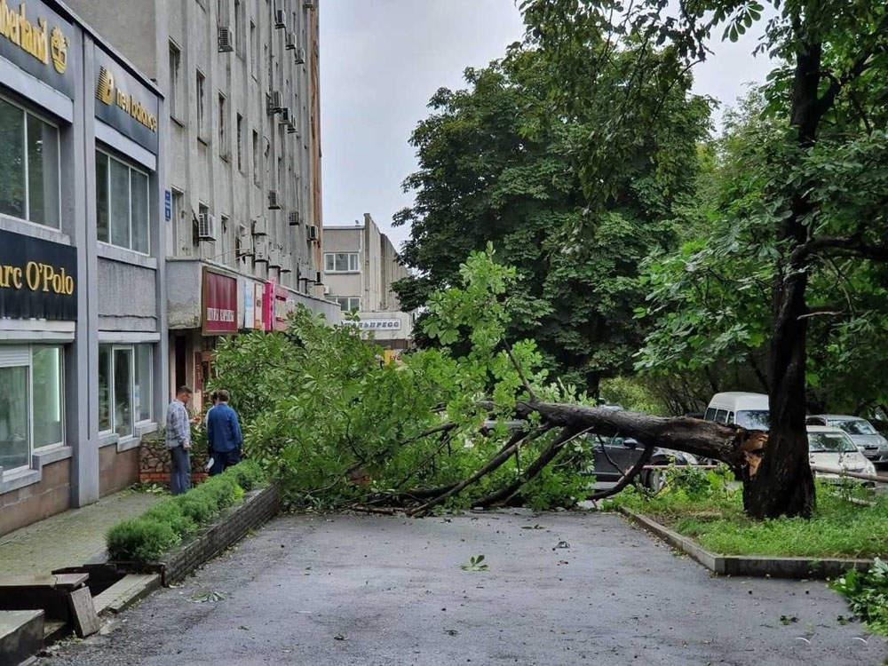 Maysak tayfunu Rusya’yı vurdu