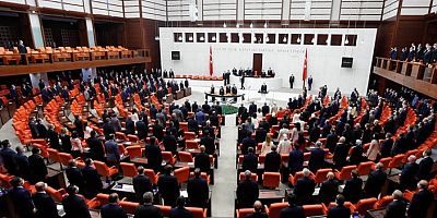 Meclis'e giren 30 yaş altındaki 5 vekilden 4'ü AK Parti'den