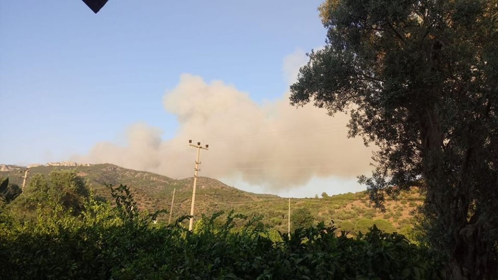 Menderes’teki yangın Kuşadası Körfezi’nde Ahmetbeyli’ye sıçradı