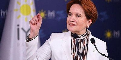 Meral Akşener'in 'seçim' açıklaması güldürdü   