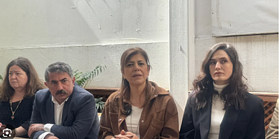 Meral Danış Beştaş: Kendimize oy verelim, başkasına değil