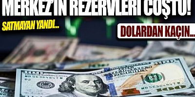 Merkez Bankası'na dolar akıyor!