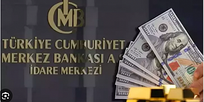 Merkez Bankası'nın rezervinde yeni rekor