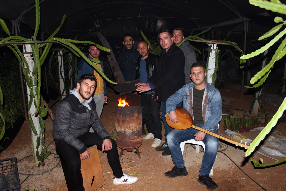 Mersin’de çiftçilerin sazlı türkülü zirai don nöbeti