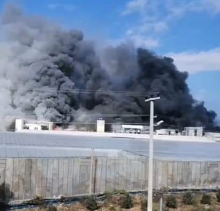 Mersin’de muz sarartma tesisinde yangın