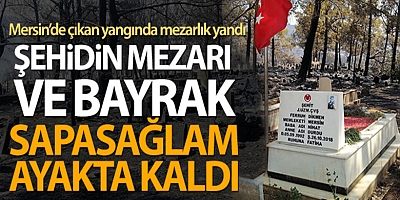 Mezarlık yandı, şehidin mezarı ve bayrak sapasağlam ayakta kaldı