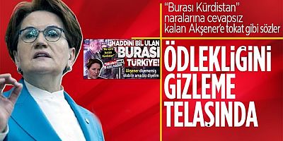 MHP'li Yalçın'dan Akşener'e: Ödlekliğini gizleme telaşında