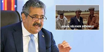 MHP'li Yıldız'dan CHP'ye 'Kibar Feyzo' göndermesi: Ağam eğlenir bizimle