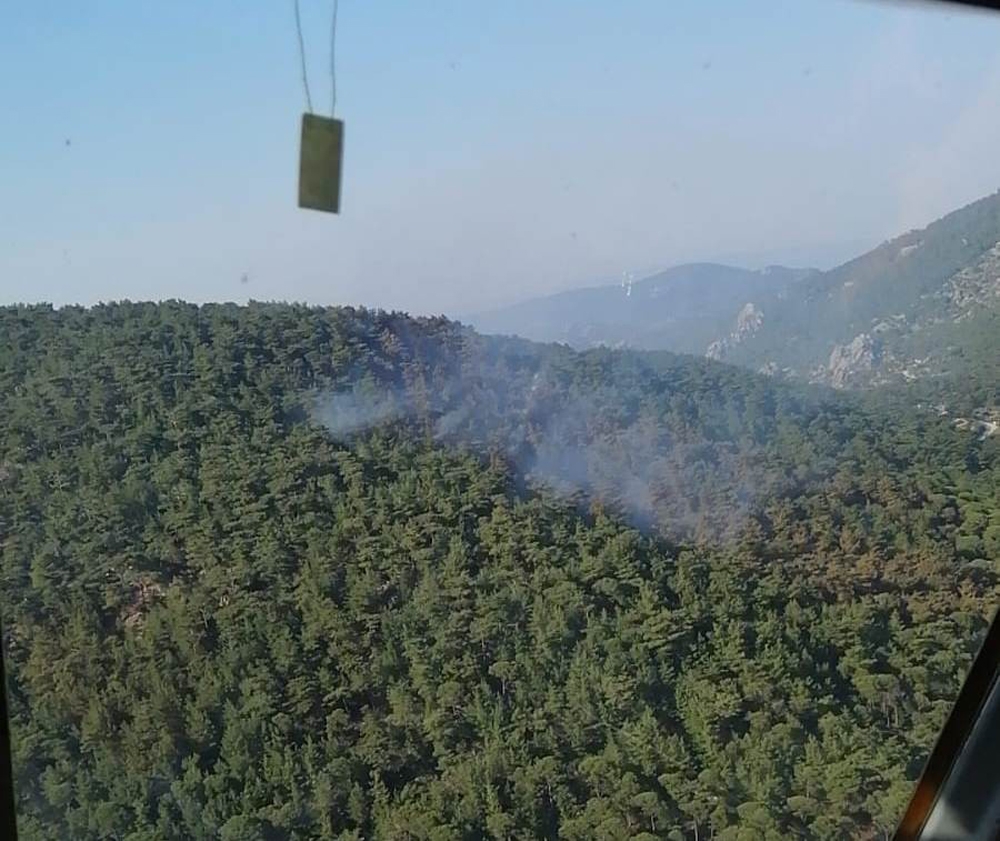 Milas’taki orman yangını kontrol altına alındı