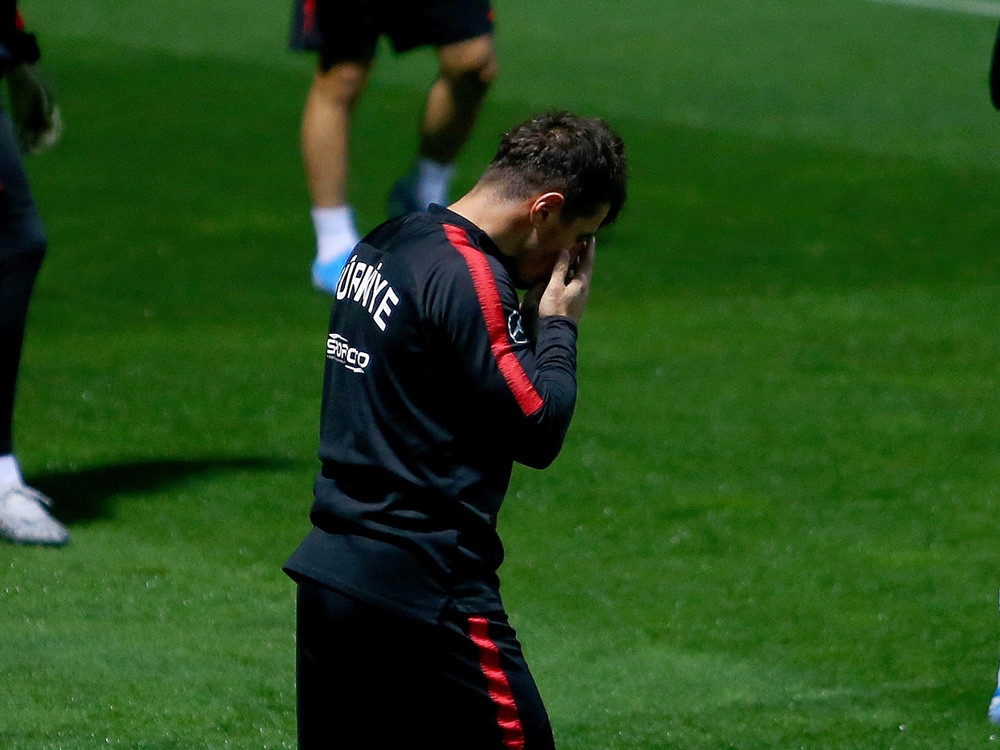 Milli Takımda Emre Belözoğlu Sevinci