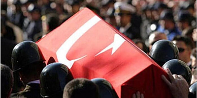 MSB acı haberi duyurdu! Piyade Uzman Çavuş Ali Demir şehit oldu
