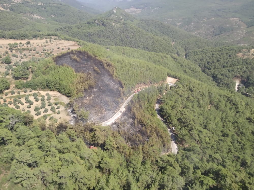 Muğla Orman Bölge Müdürlüğü’nün anında müdahalesi faciayı önledi