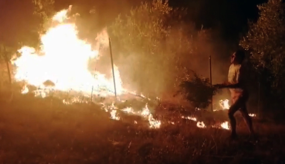 Muğla’da orman yangını