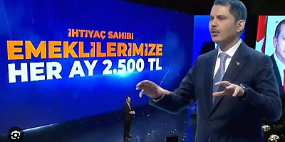 Murat Kurum:Emeklilerimize ayda 2 bin 500 lira destek ödemesi yapacağız