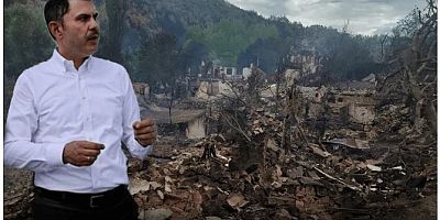 Murat Kurum paylaştı: İşte orman yangınlarındaki hasar tespit haritası
