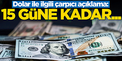 MÜSİAD'dan dolar ile ilgili çarpıcı açıklama: 15 güne kadar...