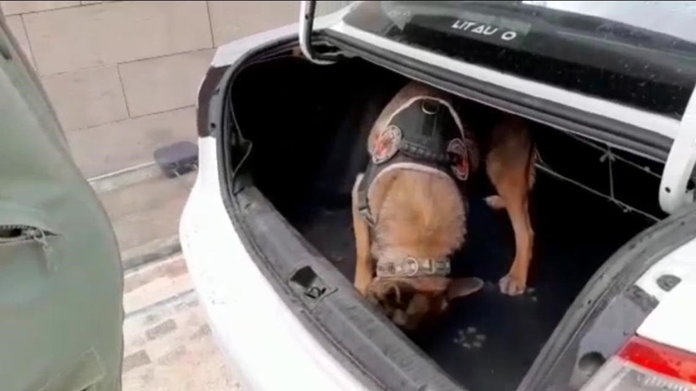 Narkotik köpeği tepki verdi, uyuşturucu lambanın arkasından çıktı