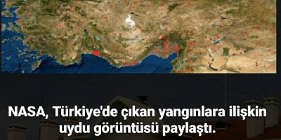 NASA paylaştı! İşte Türkiye'de çıkan yangınlara ilişkin uydu görüntüleri