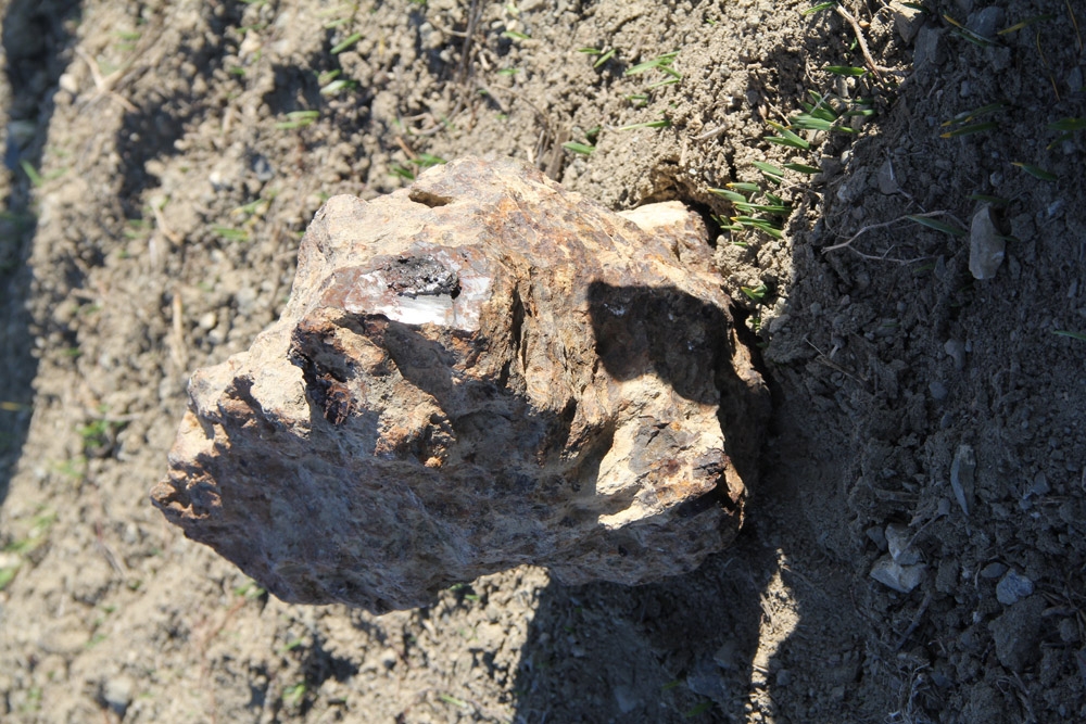 Nohut Ektiler Göktaşı Hasat Ettiler