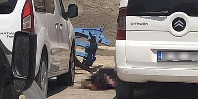 Nusaybin'de eylem hazırlığındaki canlı bomba güvenlik güçlerince etkisiz hale getirildi