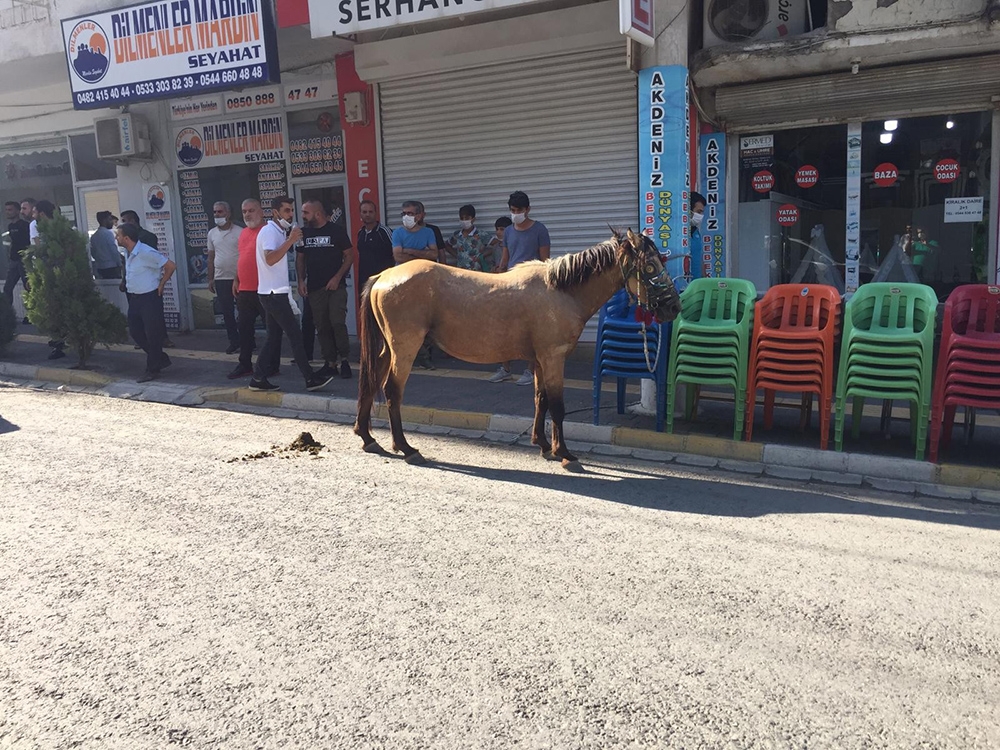Nusaybin’de ürken at çarşı merkezini birbirine kattı