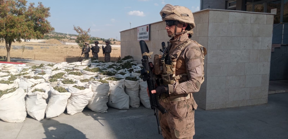 O ilde son 9 ayda 97 milyon kök kenevir ve 42 ton esrar ele geçirildi