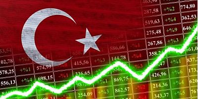 OECD'den Türkiye açıklaması: Enflasyon inatçı ama Türkiye belini kırdı