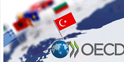 OECD ilan etti: Türkiye ilk sıraya yerleşti