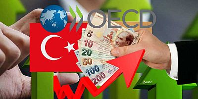 OECD, Türkiye'nin büyüme tahminlerini revize etti