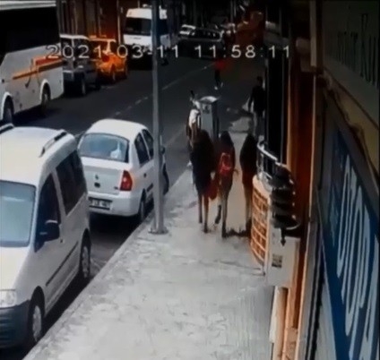 Öğrenciler üzerlerine düşen saksıdan kıl payı kurtuldular