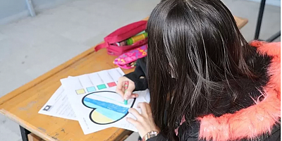 Okul Destek Projesi ile 20 bin 464 çocuğa rehberlik