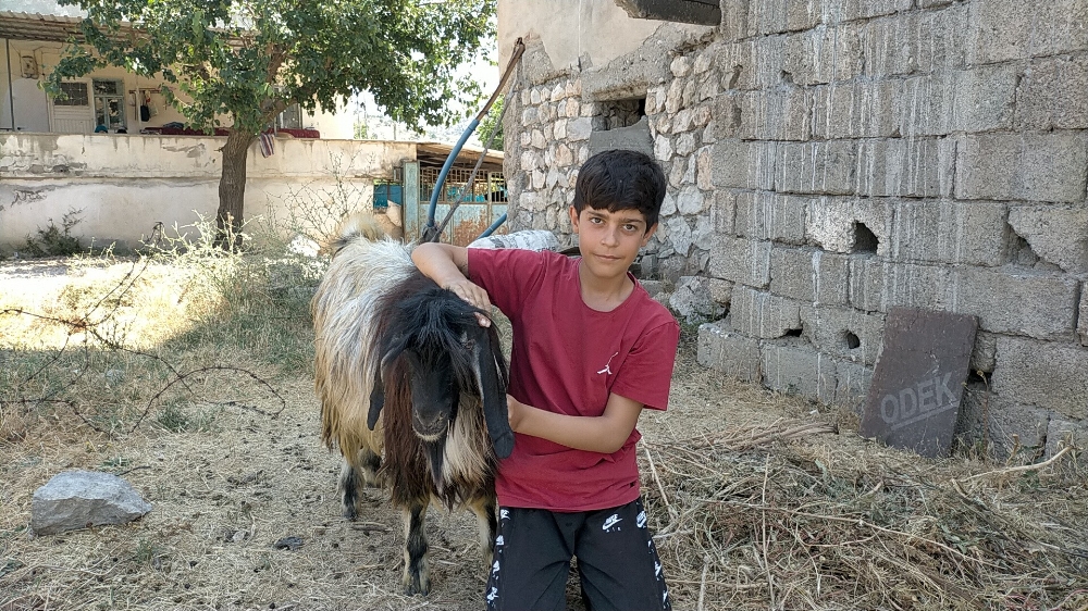 Ölen kuzusu için gözyaşlarına boğulan çocuk kazayı anlattı