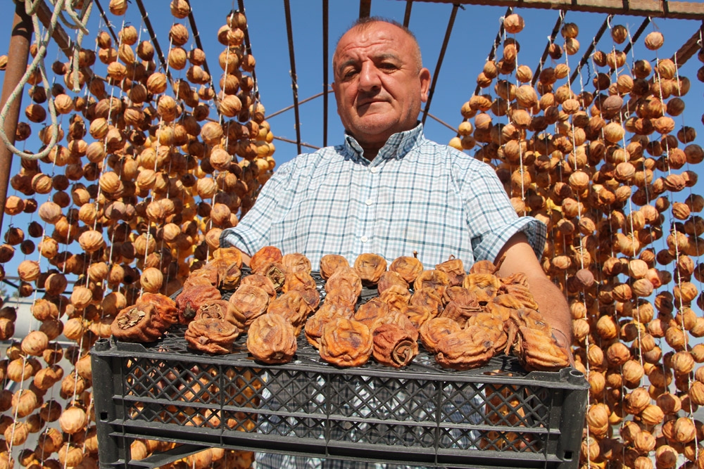 Olgunlaşmamış hurma 3 haftada şifa dolusu lezzete dönüşüyor