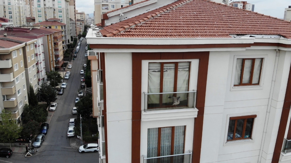Ölüme terk edilen martı böyle kurtarıldı