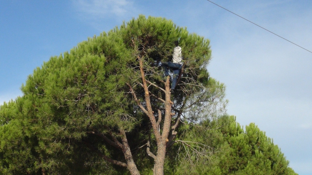 Ölümü göze alarak toplayıp kilosunu 300 TL’den satıyorlar