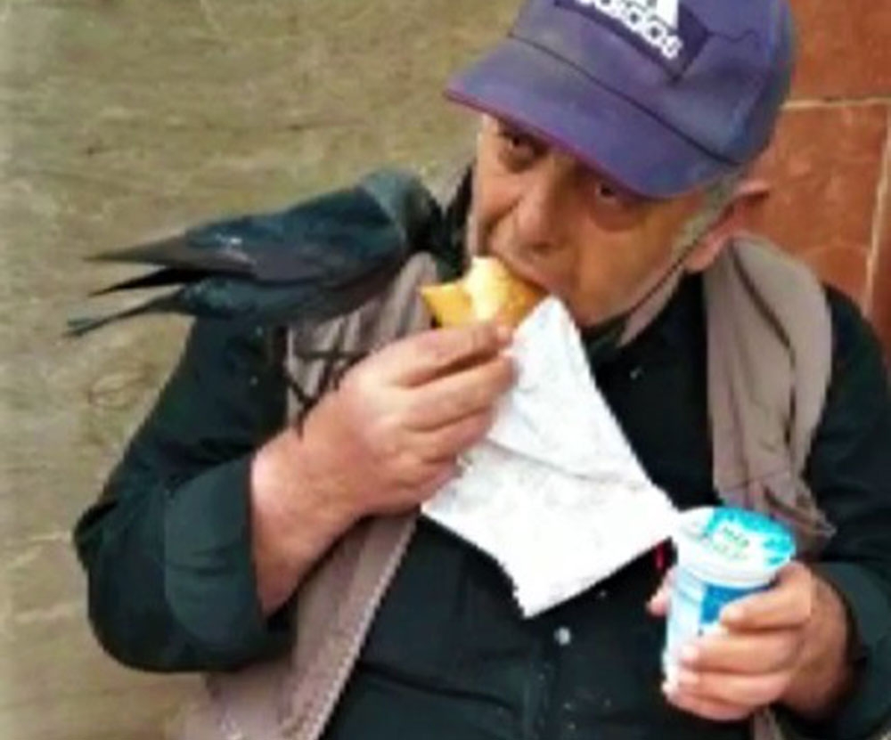 Omzuna konan kargayla birlikte döner yedi, ayran içti