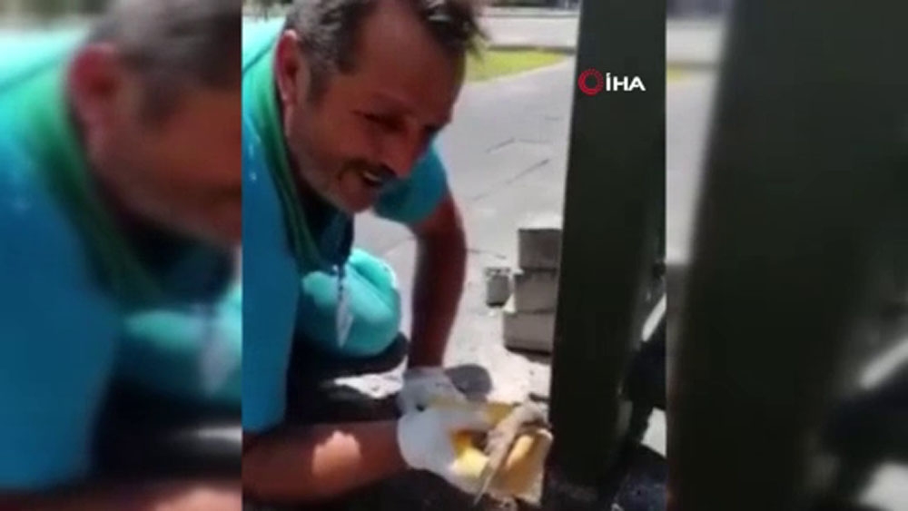 Önce kurtardı, sonra öpüp sevdi