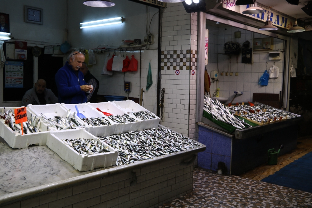 Önlem Alınmazsa Gelecek Nesil Tezgahlardaki Balığı Kitaplarda Görecek