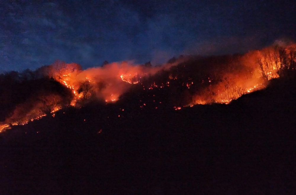 Ordu Valiliğinden Yangın Açıklaması