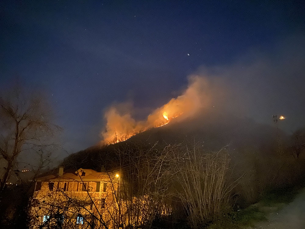 Ordu’da ormanı yangını