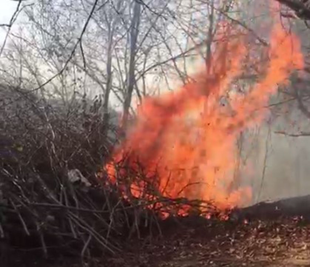 Ordu’da ormanlık alanda çıkan yangın paniğe neden oldu