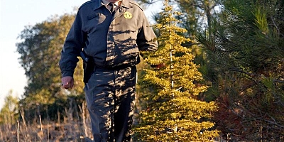 Orman Genel Müdürlüğü 4 bin 500 geçici işçi alacak