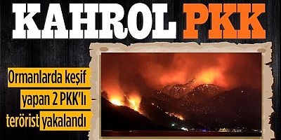 Orman yangını çıkarmak için gelen 2 PKK’lı terörist yakalandı   